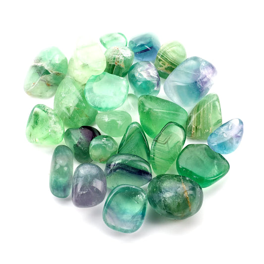 Cherry Tree Collection 1/2 Pound Polished Stones - 1/2" - 1" Size Tumbled Stones - Tumbled Crystals Bulk for Healing Reiki Chakra (Green Fluorite)